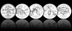 2021-2025 First Amendment US Constitution Proof American Platinum Eagle Designs