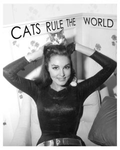 CATS_RULE_THE_WORLD-512x640