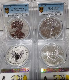 2011-S-AND-P-COINS