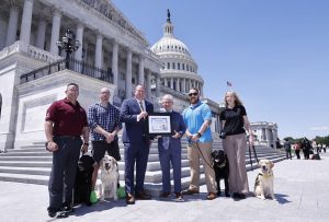 America's VetDogs image